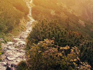 neue-Erde-klenke-soulpath