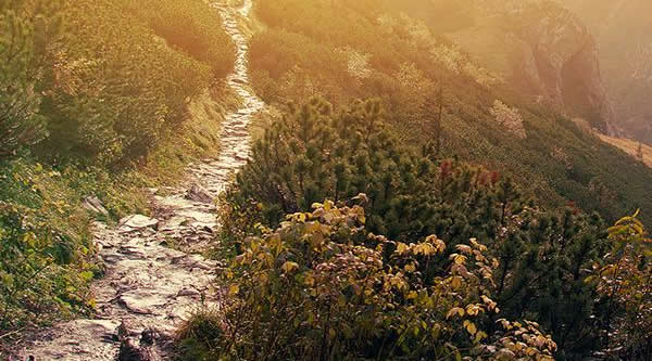 neue-Erde-klenke-soulpath