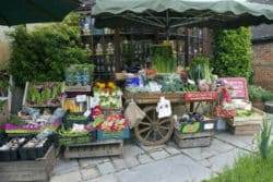 Heilendes Ereignis spirituelle Geschichte gemuese greengrocers handcart