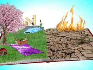 2-seiten-book
