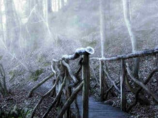 bruecke-nebel-bridge