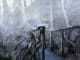 bruecke-nebel-bridge