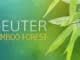 Deuter-bamboo-forest
