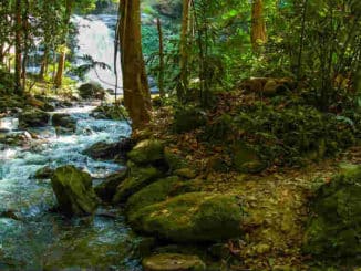 wilder-fluss-river-landscape