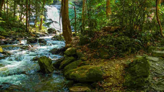 wilder-fluss-river-landscape