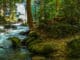 wilder-fluss-river-landscape