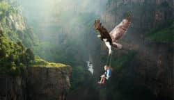 Weg zum inneren Frieden vogel kind nature