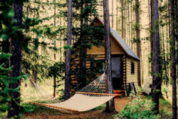 Schön und sinnlich leben huette wald shack