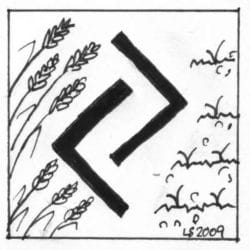 Constanze-Steinfeldt-Rune-jera