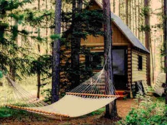 huette-wald-shack