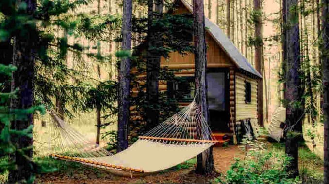 huette-wald-shack
