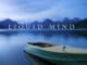liquid-mind-see-mit-boot