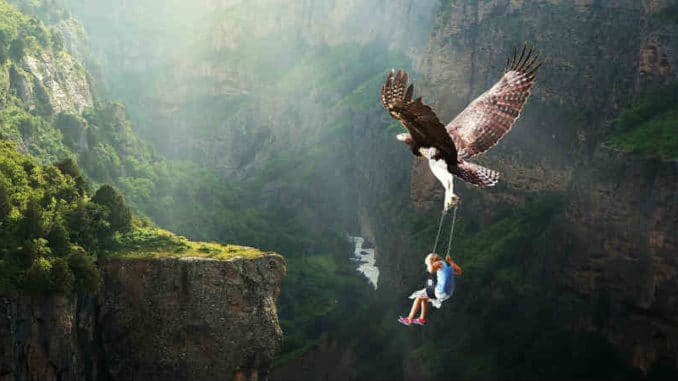 vogel-kind-nature