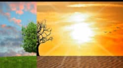 Klimakrise verdrängen  Klimawandel und Gesellschaft 