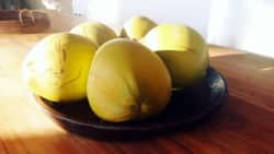 Kokos-4-Lombok-peisger-devaya-ayurveda