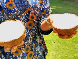 devaya-lombok-peisger-ayurveda-Kokosnuss-1