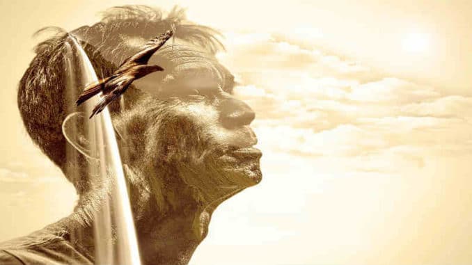 mann-vogel-photomontage