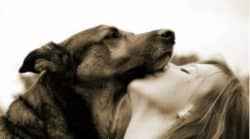 frau-hund-schmusen-dog