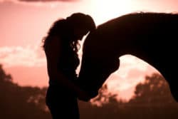 sonnenuntergang-frau-pferd-innig-horse