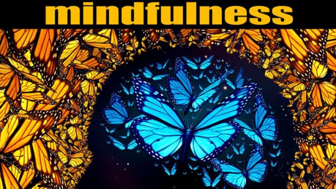 paul-avgerinos-mindfulness