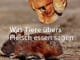 Sabine-Sebestyen-Buch-Fleischessen-cover
