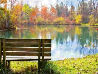 herbst-landschaft-see-wood-bench