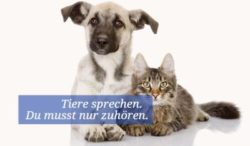 sebestyen-tiere-koennen-sprechen