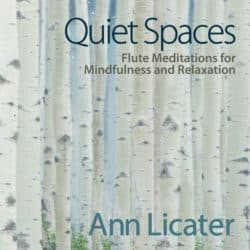 ann-licater-quiet-spaces