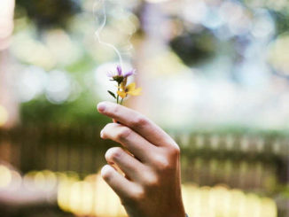 rituale-gewohnheiten-sicherheit-mut-flower