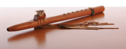 ann-licater-native-american-flute