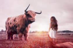 seelengewitter-der-tiere-und-pflanzen-child