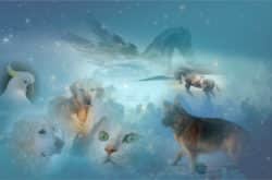 pferd-hund-katze-vogel-himmel-beyond