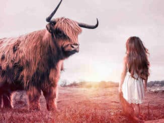 seelengewitter-der-tiere-und-pflanzen-child