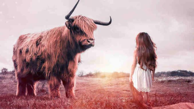 seelengewitter-der-tiere-und-pflanzen-child