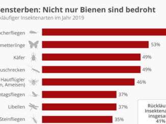 insektensterben-statistika
