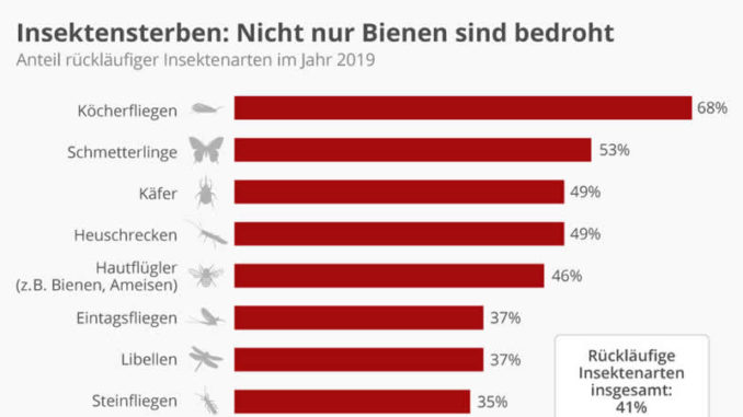 insektensterben-statistika