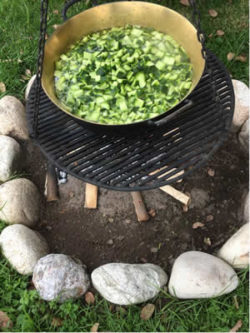 jutta-kloeckner-kochen-kaktus