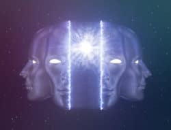 Am Anfang war der Geist  geist paradigma des lebendigen meditation TattvaViveka