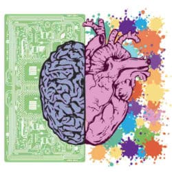 Herzintelligenz wissenschaft des herzens tattva viveka brain