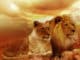 Hochsensibilitaeat-Empathie-Narzissmus-Macht-lion