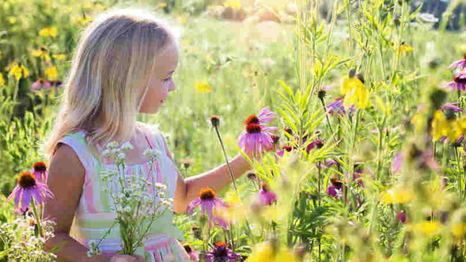 gabe-der-hochsensibilitaet-little-girl