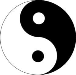Harmonik-Polaritaet-Harmoniker-unserer Zeit-Tattva-Vieveka-yin-yang