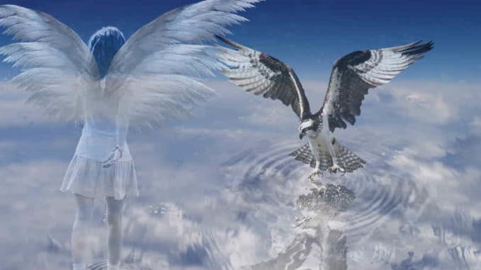 Spirituelle Alchemie und Transmutation