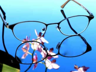 brille-blume-sehen-gesehen-wahr genommen werden-glasses