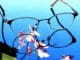 brille-blume-sehen-gesehen-wahr genommen werden-glasses