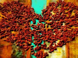 ich-bin-chaos-desaster-selbstliebe-selbstzweifel-heart