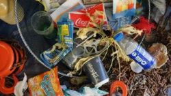 Wegwerfgesellschaft Konsum-Plastik-Plastikmuell-Umweltverschmutzung-Klimawandel-rubbish