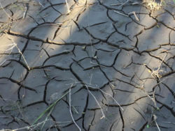 Die 5 größten Lügen zur Klimazerrüttung Klimawandel und Klimazerrüttung fred hageneder elbufer april 2019