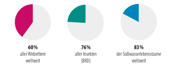 hageneder-hp03-abb1
