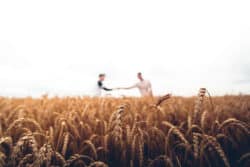 Empathie und Hochsensibilität kornfeld haende schuetteln warren wong unsplash-min
